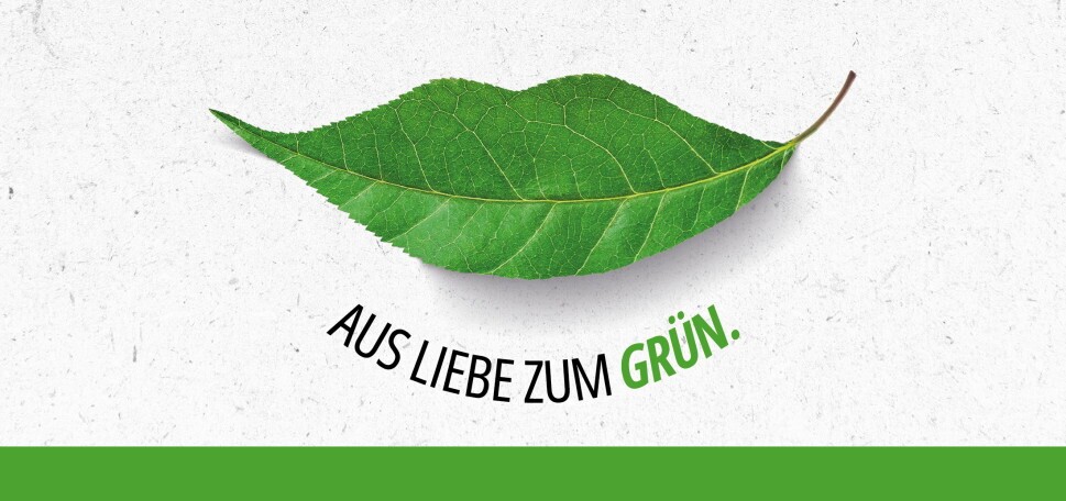 Initiativbewerbung, 1. Bild