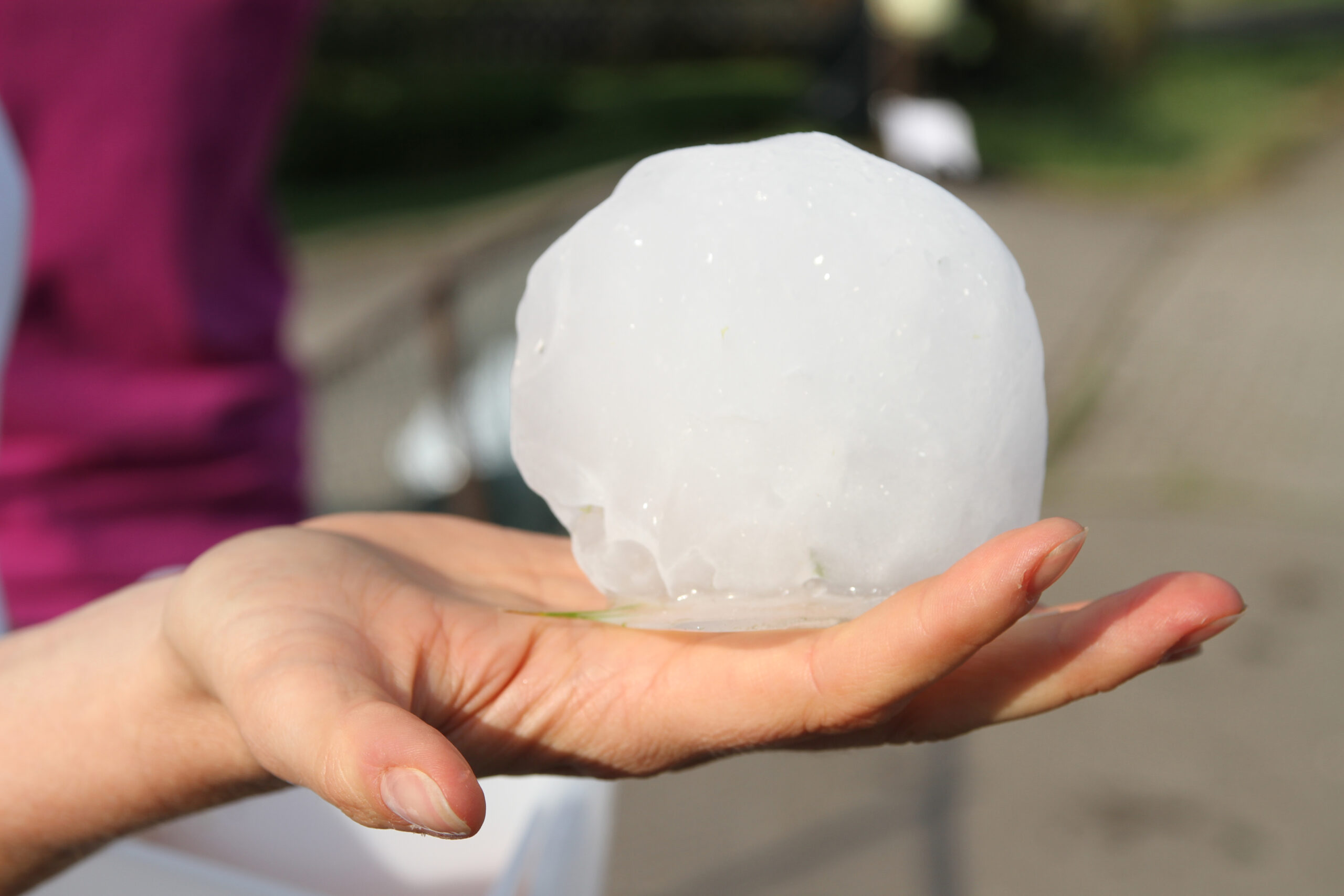 Abb. 2: 10 cm großer Hagelball bei einem Gärtner