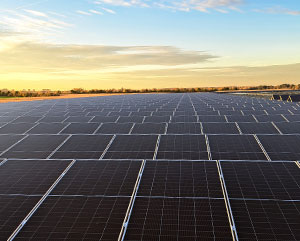 PV- und Agri-PV: Webinar mit unserem Experten