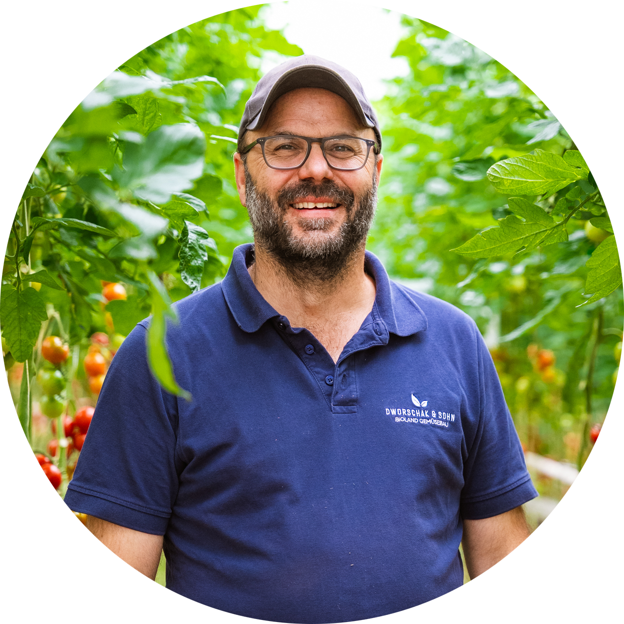 Rudolf Dworschak, Geschäftsführer