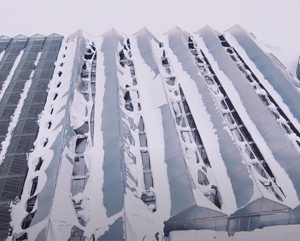 Schneedruckschäden vorbeugen.